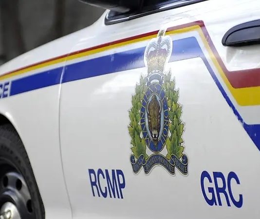 Two men charged after allegedly fleeing police in North Okanagan Two men charged after allegedly fleeing police in North Okanagan