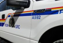 Nova Scotia woman dies in Guysborough County crash