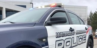 Regional police make arrest in Kitchener homicide investigation Regional police make arrest in Kitchener homicide investigation