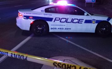 Woman dead, three others in hospital after 2-vehicle collision in Brampton Woman dead, three others in hospital after 2-vehicle collision in Brampton