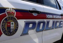 York regional police charge four people in stolen vehicle trafficking investigation