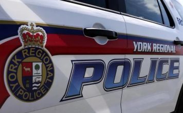 York regional police charge four people in stolen vehicle trafficking investigation York regional police charge four people in stolen vehicle trafficking investigation