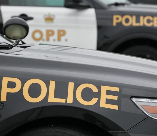 Kingston driver facing charges of doubling the 401 speed limit Kingston driver facing charges of doubling the 401 speed limit