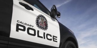 Man facing charges after random attacks on five people and injured police officer in Calgary Man facing charges after random attacks on five people and injured police officer in Calgary