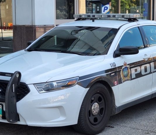 Two Manitobans arrested after assault on ride-share vehicle driver: police Two Manitobans arrested after assault on ride-share vehicle driver: police