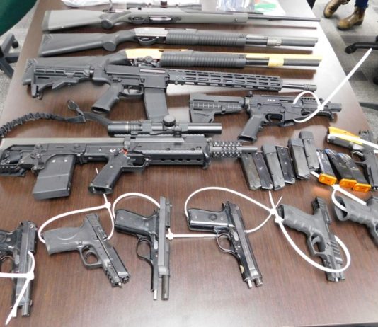 28 Counts of Firearms Violations for Estevan Individual 28 Counts of Firearms Violations for Estevan Individual