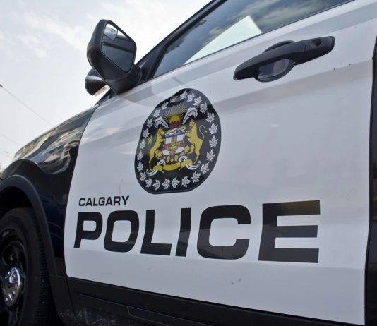 Cannabis-Impaired Driver Charged in Tragic Runover Incident Involving Passenger Cannabis-Impaired Driver Charged in Tragic Runover Incident Involving Passenger