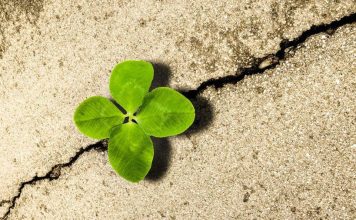 Try a 3 account solution when joint accounts alone are not enough Try a 3 account solution when joint accounts alone are not enough