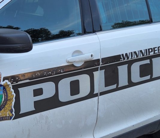 Winnipeg woman, 29, charged with kidnapping after car stolen with two kids inside Winnipeg woman, 29, charged with kidnapping after car stolen with two kids inside