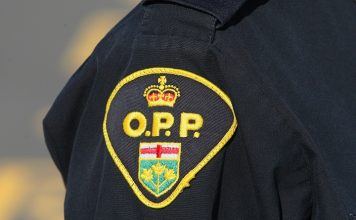OPP: Human remains found along bank of Thames River OPP: Human remains found along bank of Thames River