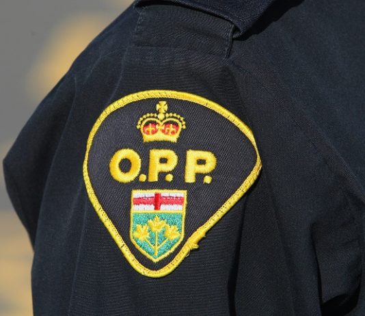 OPP: Human remains found along bank of Thames River