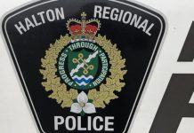 Three-year-old boy dies after being pulled from Oakville pool