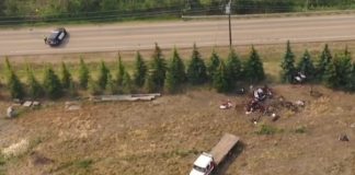 Police: Three killed in Tesla rollover in south Edmonton Police: Three killed in Tesla rollover in south Edmonton