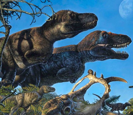 New research shows tropics too hot for big dinosaurs New research shows tropics too hot for big dinosaurs