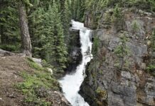 Tragedy at Meachen Creek: Third Hiker Found After Waterfall Accident Tragedy at Meachen Creek: Third Hiker Found After Waterfall Accident
