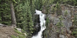 Tragedy at Meachen Creek: Third Hiker Found After Waterfall Accident Tragedy at Meachen Creek: Third Hiker Found After Waterfall Accident