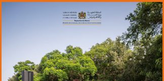 Morocco Strengthens Ties with Global Youth Through “Morocco with Purpose” Morocco Strengthens Ties with Global Youth Through "Morocco with Purpose"